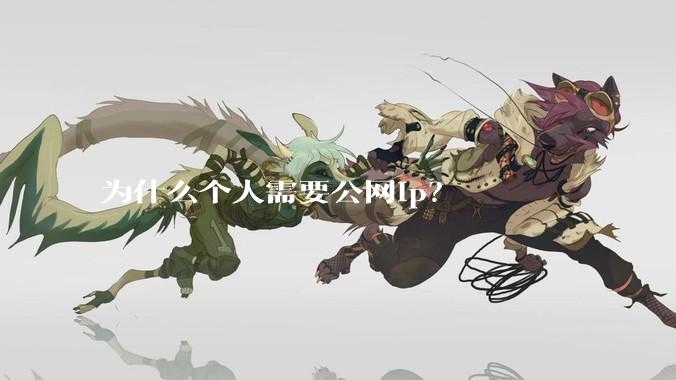 为什么个人需要公网ip？