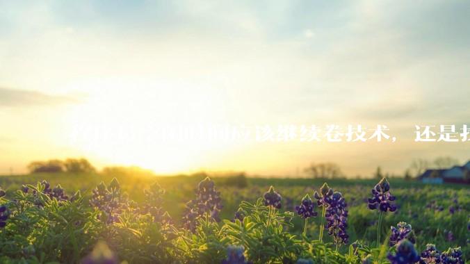 程序员空闲时间应该继续卷技术，还是找其他副业？