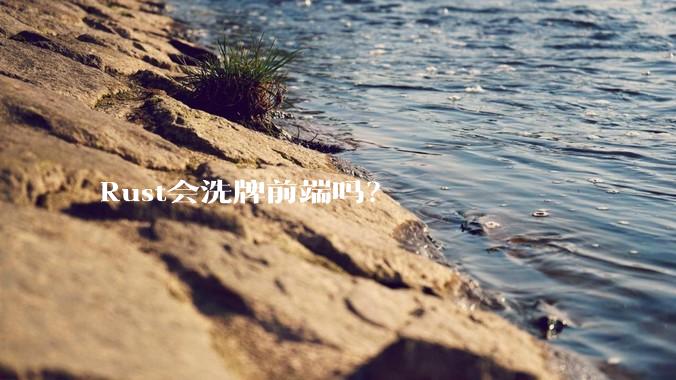 Rust会洗牌前端吗？